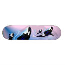 Search for killer whale skateboards Nature