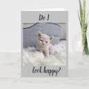 Search for unhappy cards Cat