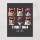 Search for maga postcards Politics