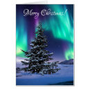 Search for northern lights christmas cards Aurora