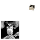 Search for owl rubber stamps Wildlife