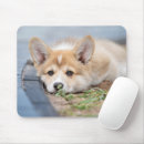 Search for cute corgi mousepads Canine