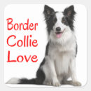 Search for border collie dog stickers Puppies