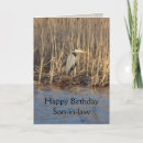 Search for for son in law birthday cards Birds