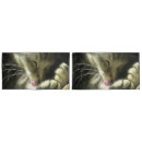 Search for meow pillowcases Cute