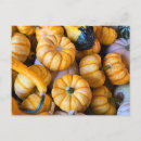 Search for gourd postcards Autumn