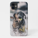 Search for play ball electronics Animal