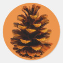 Search for pinecones stickers Autumn