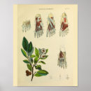 Search for foot art Vintage
