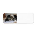 Search for music return address labels Cat