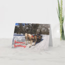 Search for winter horse cards Vintage