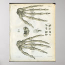 Search for finger paint posters Hand