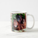 Search for endangered animals mugs Orangutan