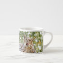 Search for chat mugs Cute