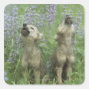 Search for wolf howling stickers Wildlife