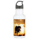 Search for landscape water bottles Sky