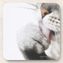 Search for one animal barware Grey
