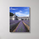 Search for provence canvas prints Lavender
