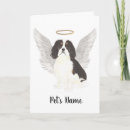 Search for loss of pet dog cards Rainbow bridge