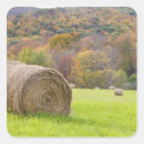 Search for bale stickers Fall