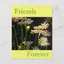 Search for best friend forever bff birthday cards Fun