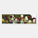 Search for tulips bumper stickers Yellow