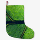 Search for christmas photography Green