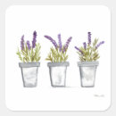 Search for french lavender stickers Nature