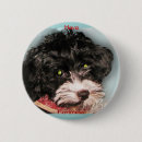 Search for pups badges Dogs