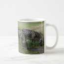 Search for zebra photo mugs Zebras