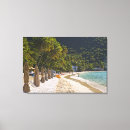 Search for tortola art Island