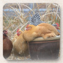 Search for chicken coasters Cute