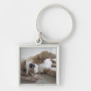 Search for cockapoo key rings Dog