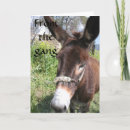 Search for funny group cards Adult
