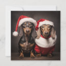 Search for funny dachshund christmas cards Dog