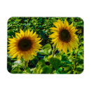 Search for twins magnets Flowers