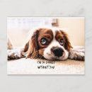 Search for without you postcards Dog