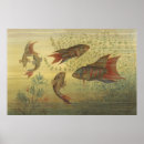 Search for gold fish art Swimming