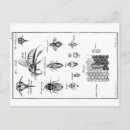 Search for bee illustration postcards Insect