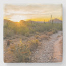 Search for trail coasters Nature