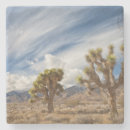 Search for natural object Photography
