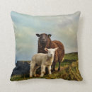 Search for cliffs home living Irish