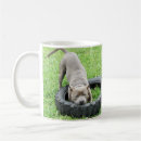 Search for staffordshire terrier mugs Dog