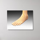 Search for ankle art Detail