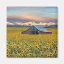 Search for farm magnets Flower