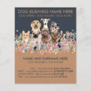 Search for dog flyers Pet sitter