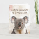 Search for qualified cards Koala