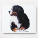 Search for bernese mountain dog mousepads Dogs