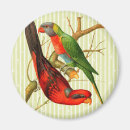 Search for red bird magnets Green