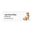 Search for akitas return address labels Pet